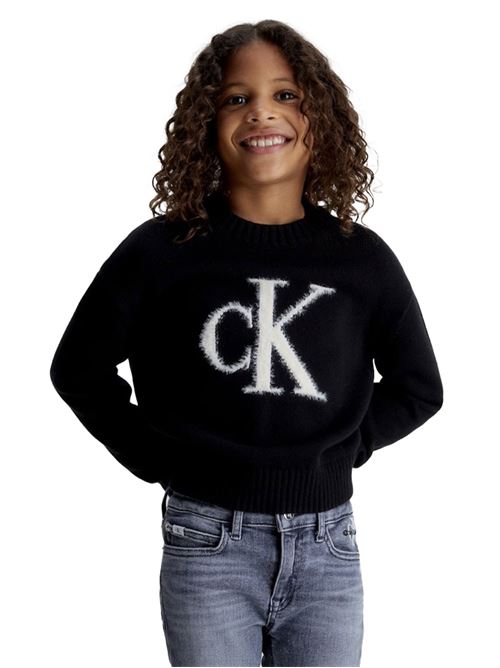 CALVIN KLEIN Plush logo sweater CALVIN KLEIN | CKIG0IG02220BEH